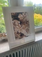 IKEA Bilderrahmen weiß 40x50 cm Nordrhein-Westfalen - Detmold Vorschau