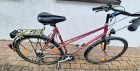 Damen-Fahrrad - Cityrad - 28 Zoll - Winora Lady - Pink Baden-Württemberg - Hayingen Vorschau