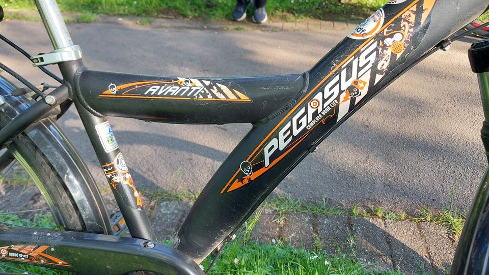 Fahrrad Pegasus Avanti 26 Zoll Rad Bike in Dortmund