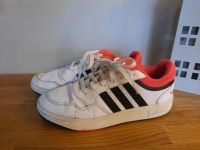 Adidas Sneaker Turnschuhe Hoops 38 Niedersachsen - Weyhe Vorschau