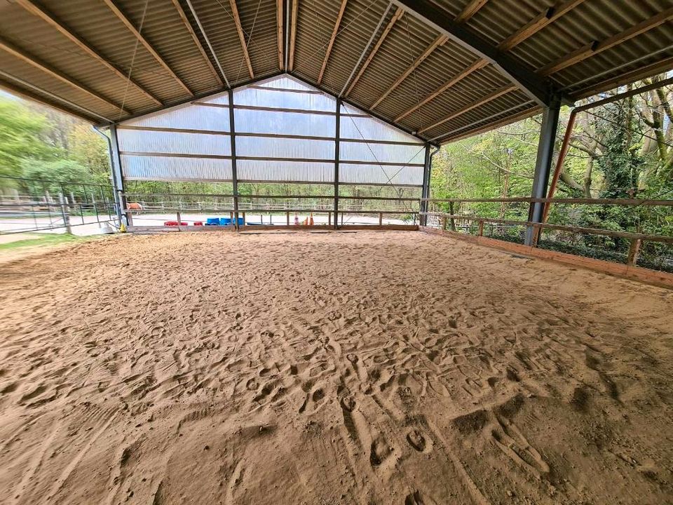 Ponyparadies hat Platz frei / Offenstall / Allergikergeeignet in Bottrop