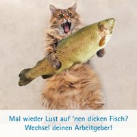 Altenpfleger/in, Pflegehilfskraft (m/w/d)gesucht Kreis Neumünster Kiel - Hassee-Vieburg Vorschau