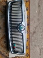 Skoda frontgrill Sachsen-Anhalt - Magdeburg Vorschau