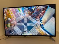 4K 55 Zoll Fernseher von Medion Nordrhein-Westfalen - Krefeld Vorschau