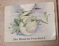 Der Mond im Froschteich / altes DDR-Buch Sachsen-Anhalt - Merseburg Vorschau