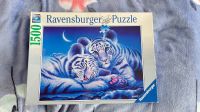 Ravensburger Puzzle junge Tigern 1500 Obergiesing-Fasangarten - Obergiesing Vorschau