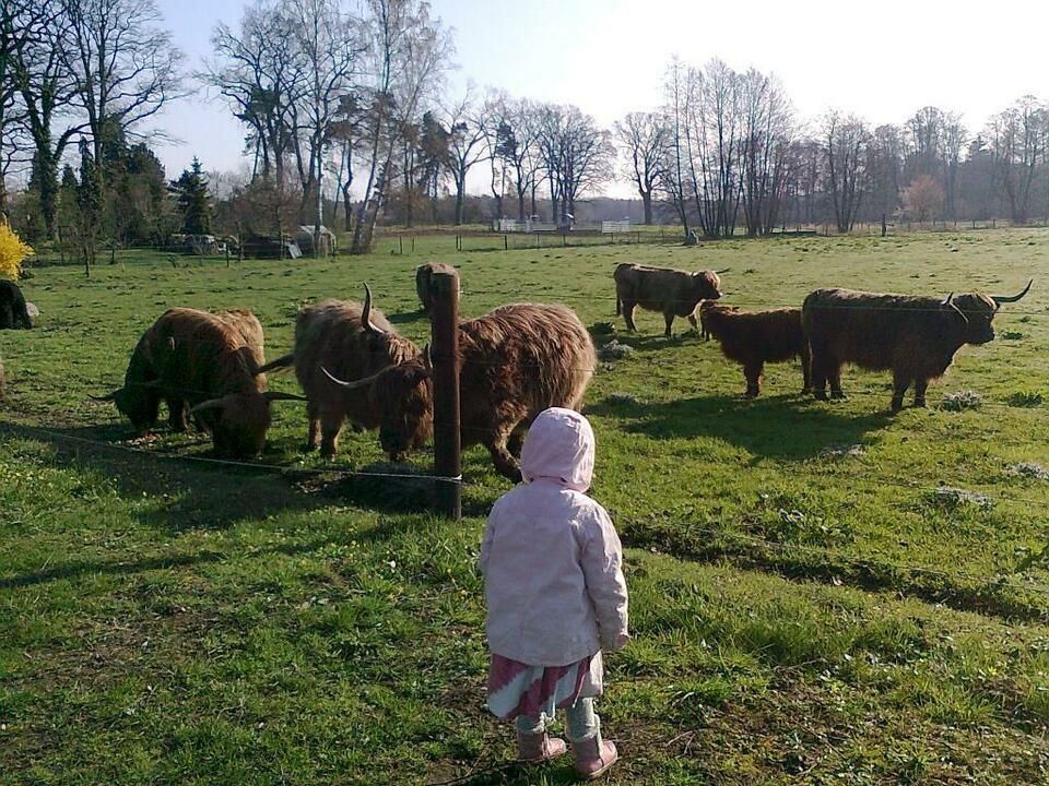 Tagesmutter, Kindertagespflege, Kostenübernahme durch Landkreis in Wittingen