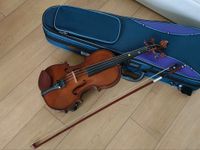 Violinen Set 3/4 Geige Stentor Student I Brandenburg - Falkensee Vorschau