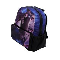 1,99 €* Restposten Rucksack Kinderrucksack mit Fledermaus Motiv Sachsen - Chemnitz Vorschau