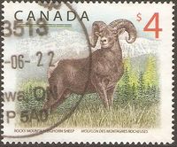 Kanada 3673 Fauna - Tiere - Säugetiere - Dickhornschaf - Mufflon Nordrhein-Westfalen - Kamen Vorschau