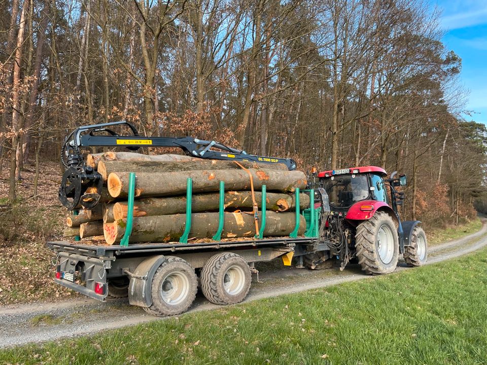 Holztransport Rückewagen in Wehrheim