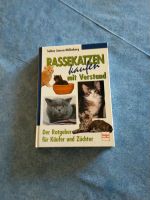 Rassekatzen kaufen mit Verstand Altona - Hamburg Rissen Vorschau