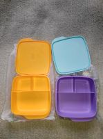 ⭐NEU⭐ Brotdose Tupperware geteilte Dose Clevere Pause Brandenburg - Gosen-Neu Zittau Vorschau