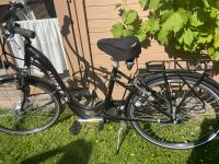 E Bike Marke Alurex Baden-Württemberg - Salem Vorschau