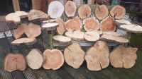 Baumscheiben Holzscheiben Deko Nordrhein-Westfalen - Goch Vorschau