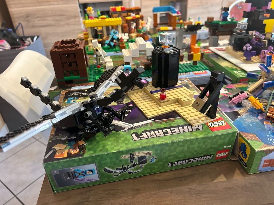 Lego Minecraft Das letzte Gefecht 21151 in Ludwigshafen