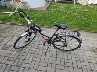 Trekkingrad Adventure 28" Damenrad Brandenburg - Frankfurt (Oder) Vorschau