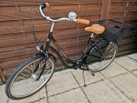 BBF Allround Comfort Fahrrad Damen 3 Gang Holland Rad 26 x 1.75 Nordrhein-Westfalen - Neuss Vorschau