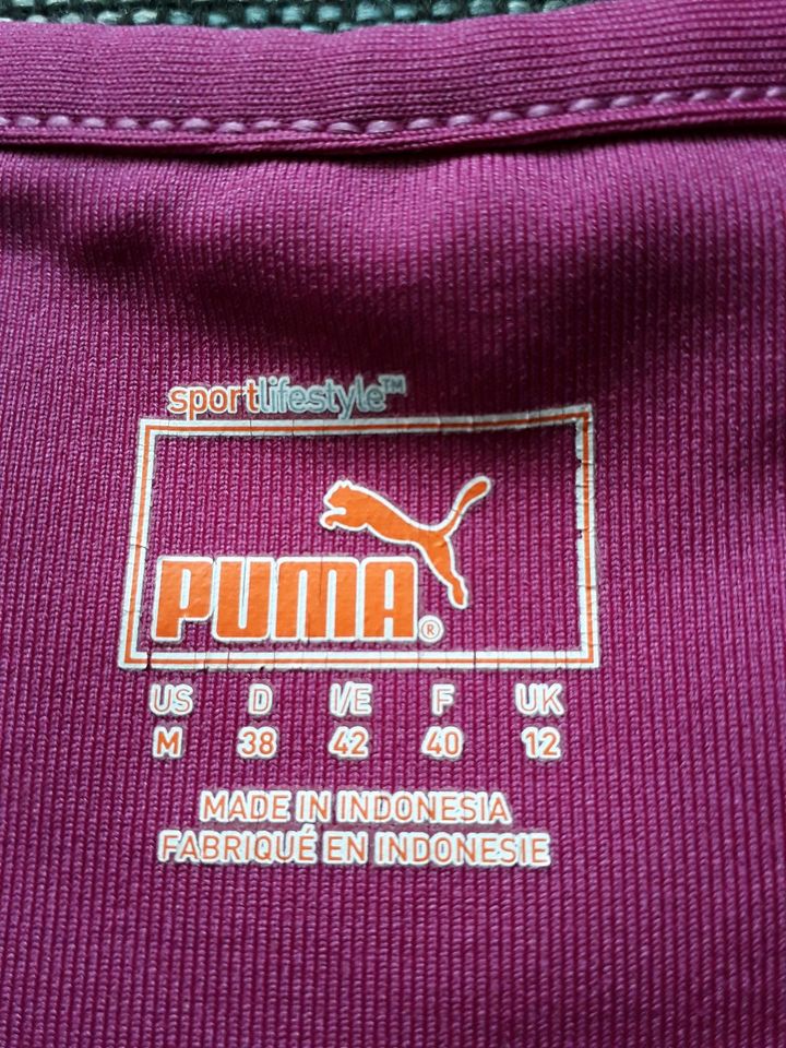 Sporttop - Puma in Bischofsheim