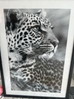 Desenio Poster Leopard mit Rahmen Berlin - Neukölln Vorschau