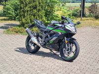 Kawasaki Ninja 125 ABS MY 2024 NEU inkl. Starterbonus Brandenburg - Bad Liebenwerda Vorschau