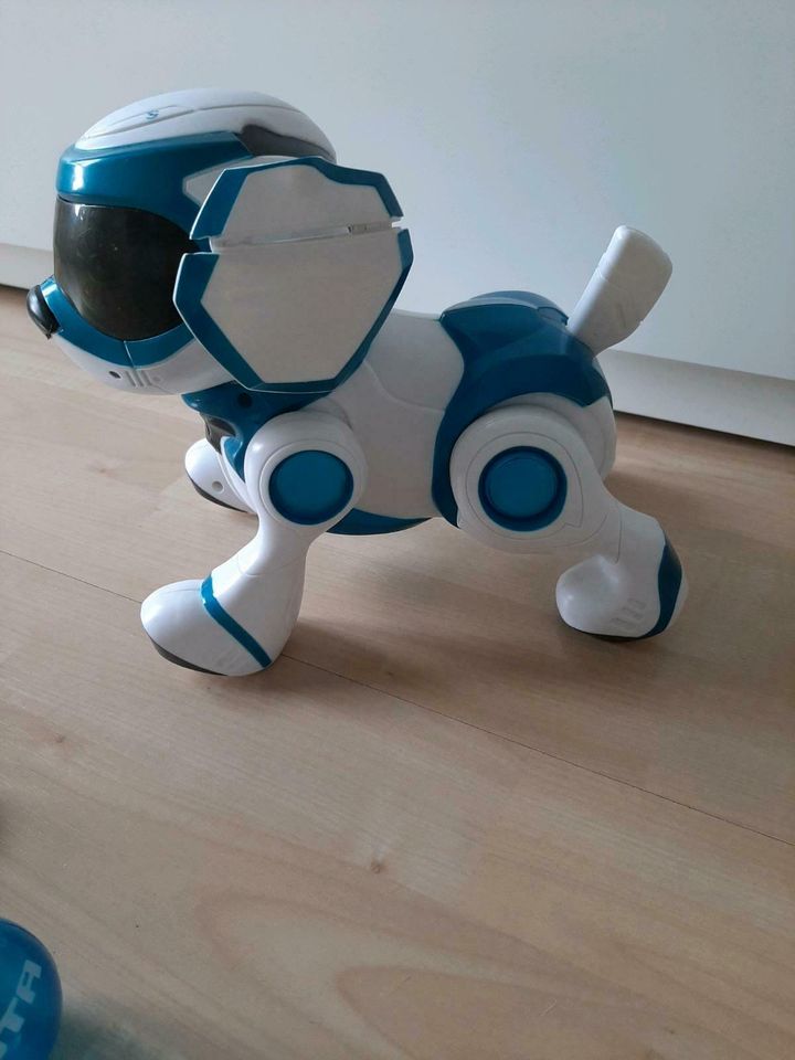 Splash Toys - Teksta Roboter Hund mit Knochen und Ball in  Nordrhein-Westfalen - Erkrath | Weitere Spielzeug günstig kaufen, gebraucht  oder neu | eBay Kleinanzeigen ist jetzt Kleinanzeigen