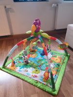 Spielbogen Fisher Price Rainforest DFP08 Krabbeldecke Spieldecke Sachsen - Großröhrsdorf Vorschau