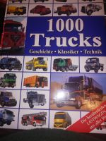 1000 trucks Nordrhein-Westfalen - Lengerich Vorschau