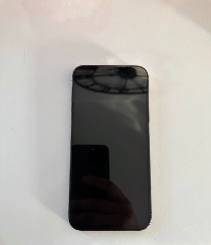 Iphone 12 Pro Max 256GB Space Gray in Schramberg