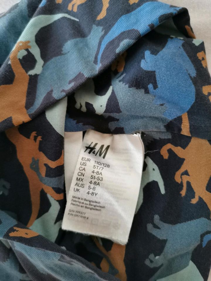 Mütze Dino H&M Gr. 3-5 Jahre in Sanitz