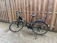 Torpedo Tasman Fahrrad Damen Berlin - Charlottenburg Vorschau