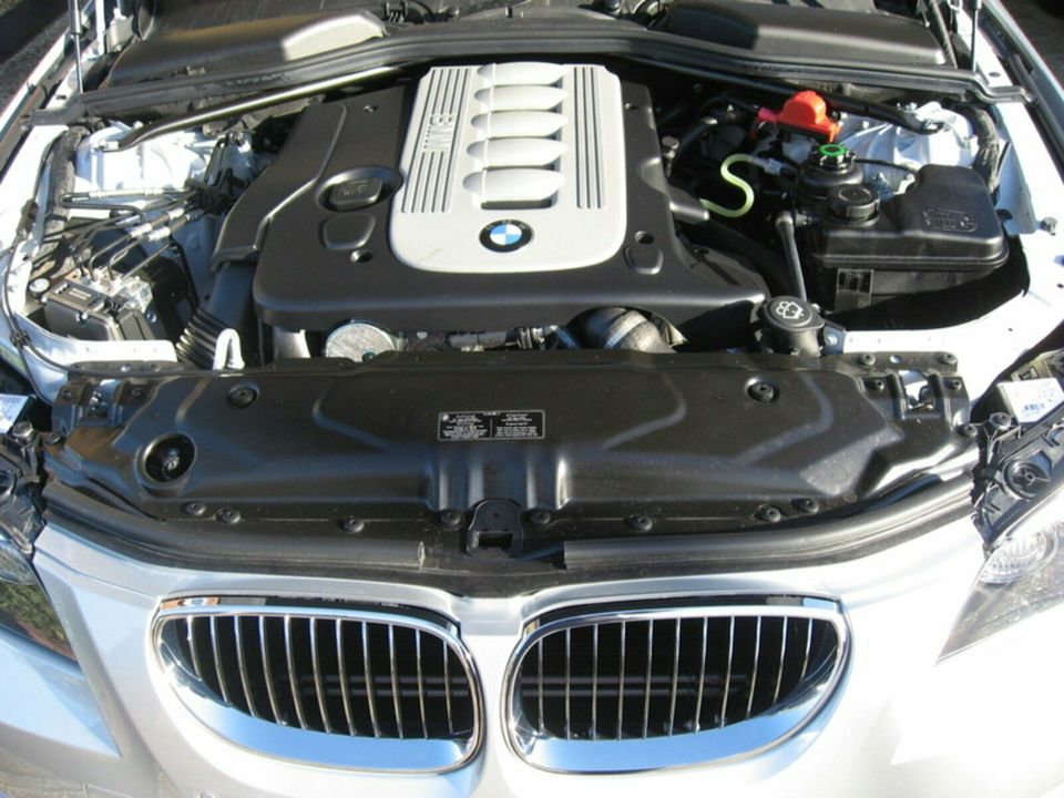 BMW 530d 535d M57D 306D2 306D3 306D4 306D5 Reparatur Instandestzu in Seevetal