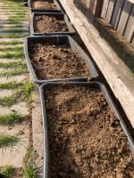 Pferde Mist Bio Dünger Garten Hochbeet Tomaten Gufken Nordrhein-Westfalen - Greven Vorschau