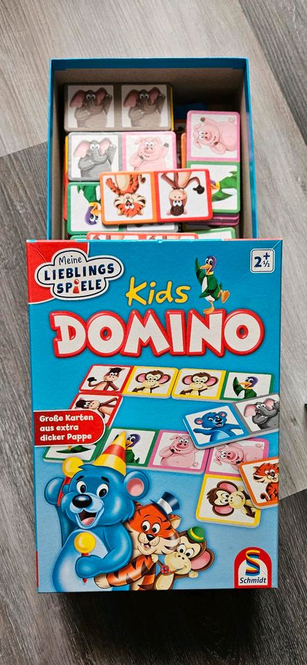 Kids Domino kartenspiel in Sassenburg