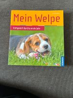 Buch „Mein Welpe“ Niedersachsen - Wunstorf Vorschau