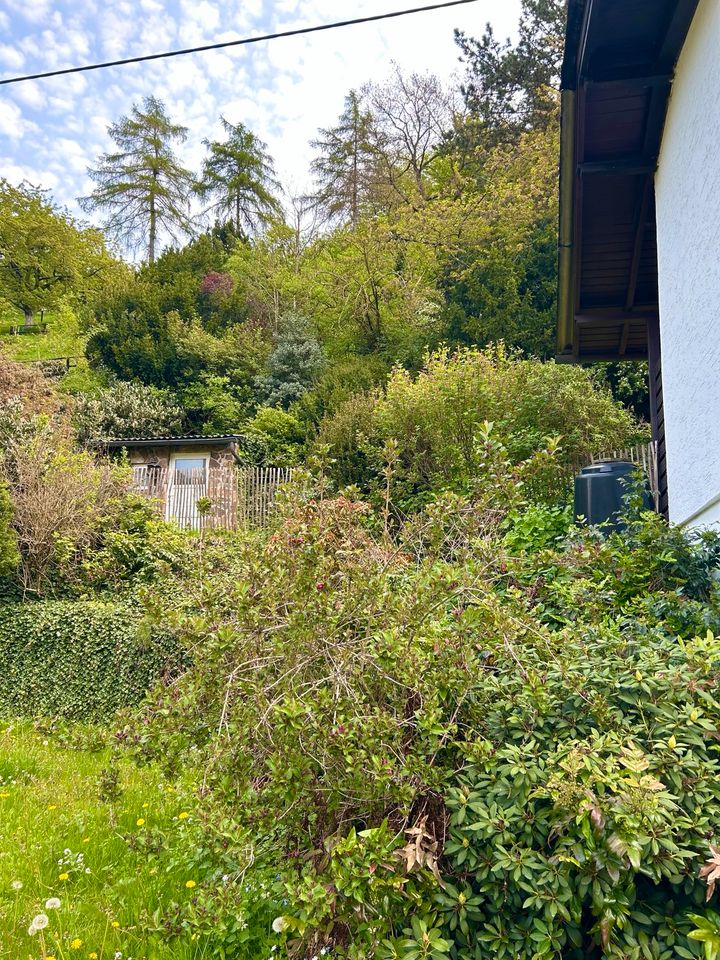 Freistehendes Haus mit großzügigem Garten in Eifel zu vermieten in Kaltenborn