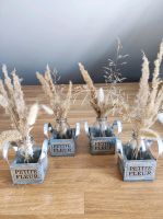 Verkaufe 4 schöne Mini-Vasen inkl. Inhalt Obergiesing-Fasangarten - Obergiesing Vorschau