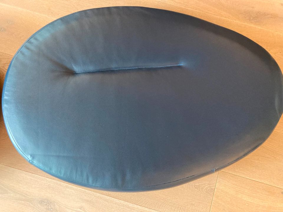 2 Seitenwangen für Bretz Designersofa in Leder blau NEU in Aachen