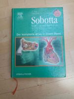 Sobota Anatomie des Menschen, 22. Ausgabe Frankfurt am Main - Frankfurter Berg Vorschau