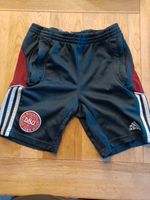 Shorts Adidas Größe 140 Baden-Württemberg - Holzgerlingen Vorschau