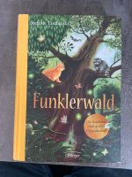 Funklerwald Kinderbuch Dortmund - Brackel Vorschau