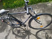 Fahrrad 28 Zoll Sursee Camper Baden-Württemberg - Kißlegg Vorschau