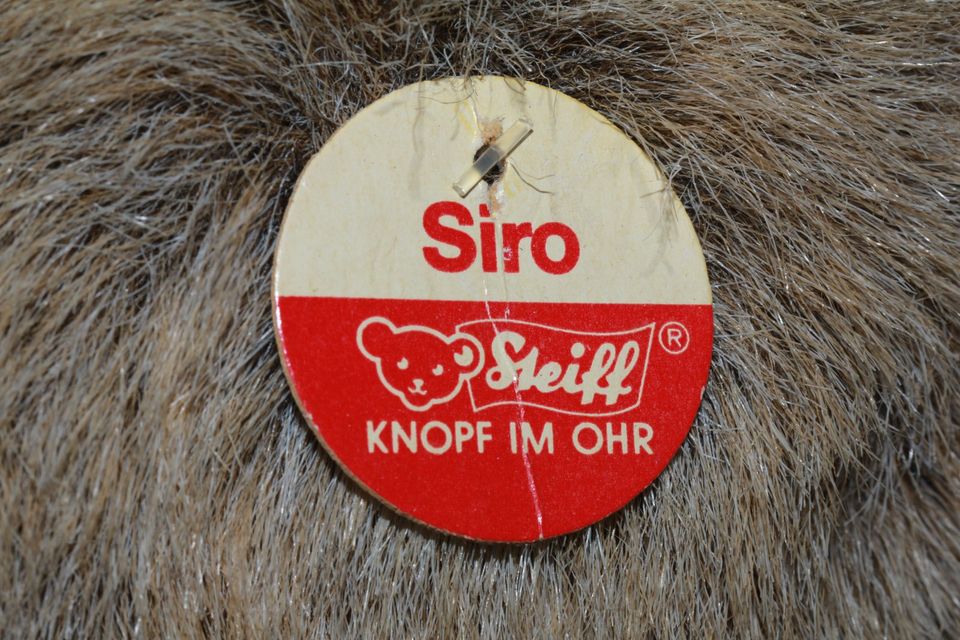 Steiff Bär - KFS _ 28 cm in Westoverledingen