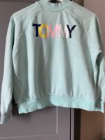 Tommy Hilfiger Pullover gr.164 Niedersachsen - Seevetal Vorschau