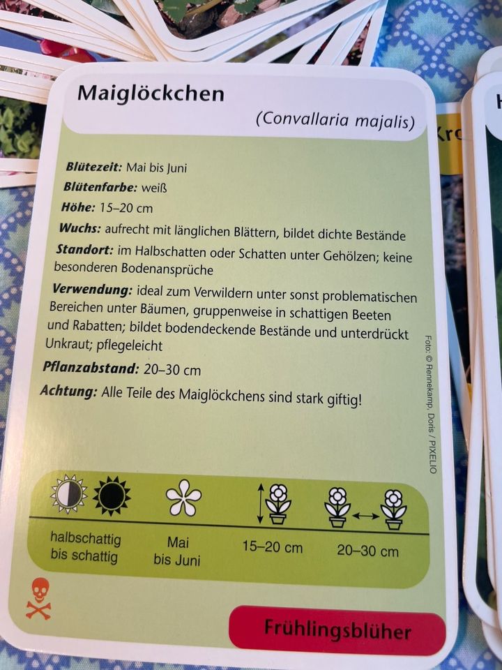 Die Gartenbox NGV Frühlingsblüher 50 Karten in Düsseldorf