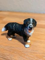 Schleich Berner Sennenhund 16397 Nordrhein-Westfalen - Schmallenberg Vorschau