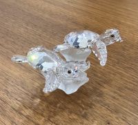 Swarovski Figur 826480 Baby Schildkröten 9cm - Top Zustand Bayern - Puchheim Vorschau