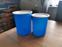 Tupperware Bingo Dosen 2 Liter und 1,25 Liter Hessen - Heidenrod Vorschau