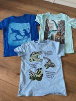 Next H&M Palomino T-Shirt Dino Wechselpailletten 122-128 Kreis Ostholstein - Stockelsdorf Vorschau