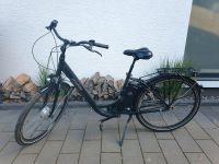 Prophete E-Bike Hessen - Groß-Bieberau Vorschau